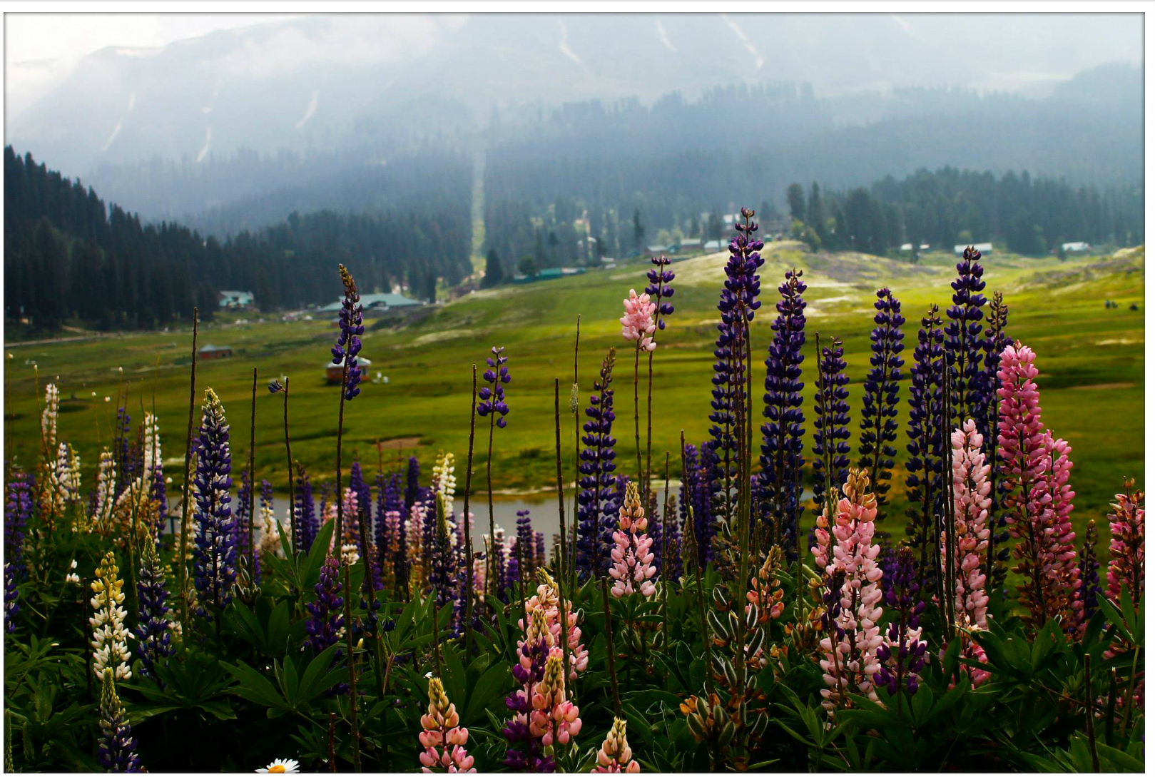 Gulmarg, India is a beautiful place in world
